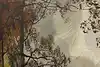Thumbnail image 11