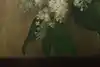 Thumbnail image 5