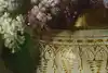 Thumbnail image 7