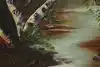 Thumbnail image 6