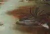 Thumbnail image 8