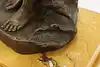Thumbnail image 17