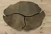 Thumbnail image 4