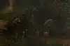 Thumbnail image 10