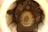 Thumbnail image 12