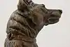 Thumbnail image 16