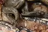 Thumbnail image 18