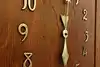 Thumbnail image 16