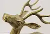 Thumbnail image 7