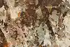 Thumbnail image 8