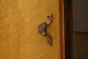 Thumbnail image 24