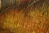Thumbnail image 9
