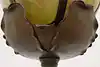 Thumbnail image 25