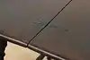 Thumbnail image 21
