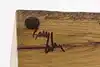 Thumbnail image 13