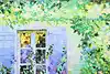 Thumbnail image 7