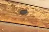 Thumbnail image 16