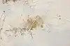 Thumbnail image 11