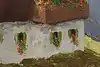 Thumbnail image 14