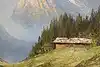 Thumbnail image 8