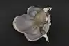 Thumbnail image 7