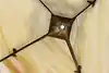 Thumbnail image 21