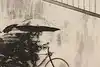 Thumbnail image 10