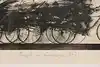 Thumbnail image 12