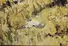 Thumbnail image 7