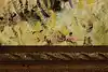 Thumbnail image 8