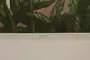 Thumbnail image 9