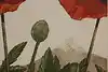 Thumbnail image 7