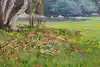 Thumbnail image 9