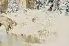 Thumbnail image 10