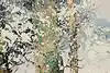 Thumbnail image 8