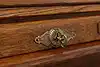 Thumbnail image 24