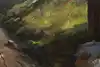 Thumbnail image 12