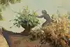 Thumbnail image 7