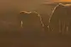 Thumbnail image 9