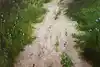 Thumbnail image 9