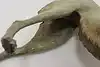 Thumbnail image 9