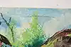 Thumbnail image 12