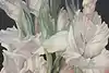 Thumbnail image 7