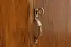Thumbnail image 18