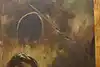 Thumbnail image 9