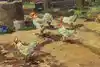 Thumbnail image 9