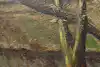 Thumbnail image 11