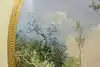 Thumbnail image 16