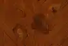 Thumbnail image 15