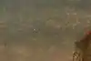 Thumbnail image 8